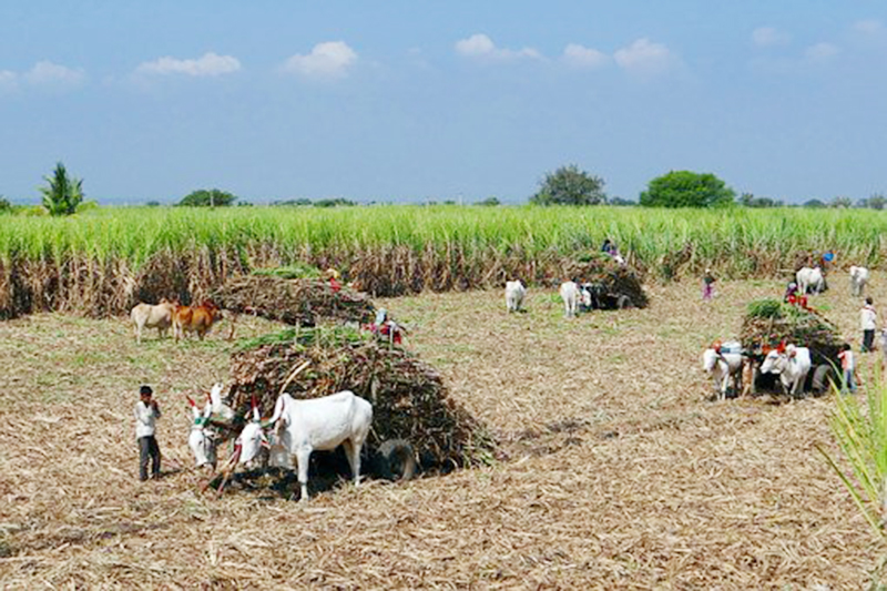 Demand for declaration of manure and watershed area